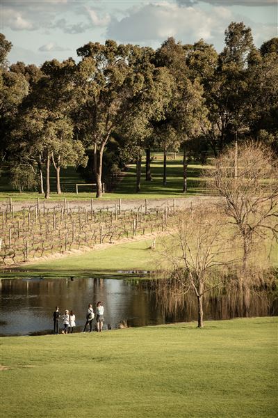 Sandalford Vineyards (25/03/2024 - Credits: Tourism Western Australia)