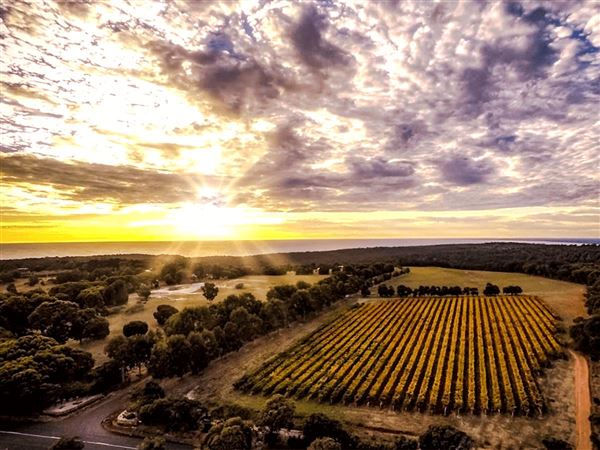 Wise Wines- Eagle Bay (26/03/2024)
