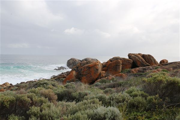 Yallingup - Torpedo Rock (6/06/2023 - Credits: Aidan O'Bryan)