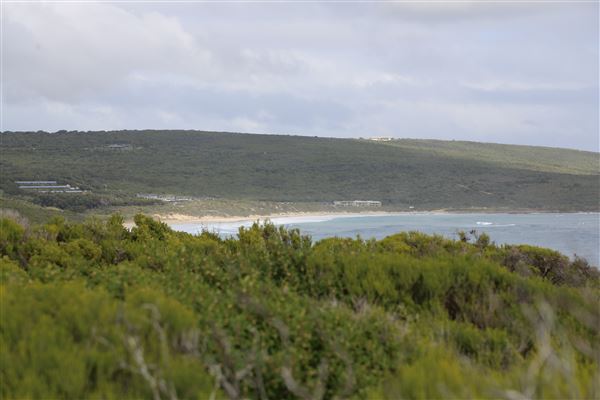 Yallingup - Torpedo Rock (6/06/2023 - Credits: Aidan O'Bryan)