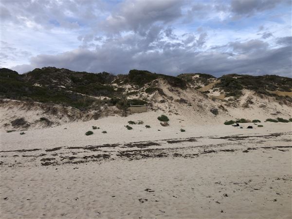 Claytons Beach (6/06/2023 - Credits: Aidan O'Bryan)