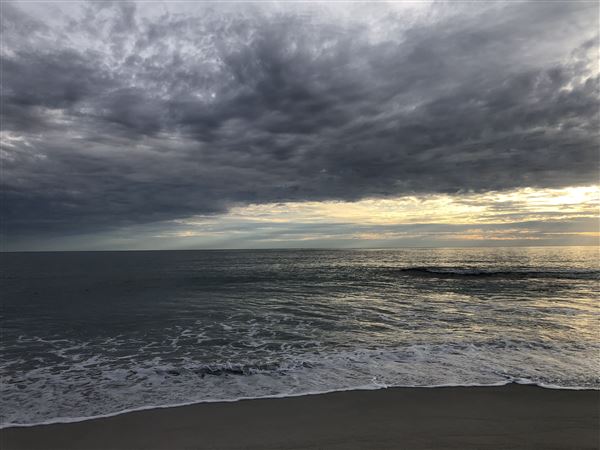 Claytons Beach (6/06/2023 - Credits: Aidan O'Bryan)