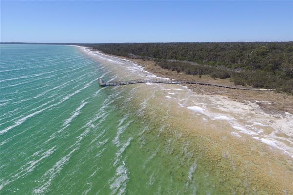 Herron Point, Birchmont (5/06/2024)