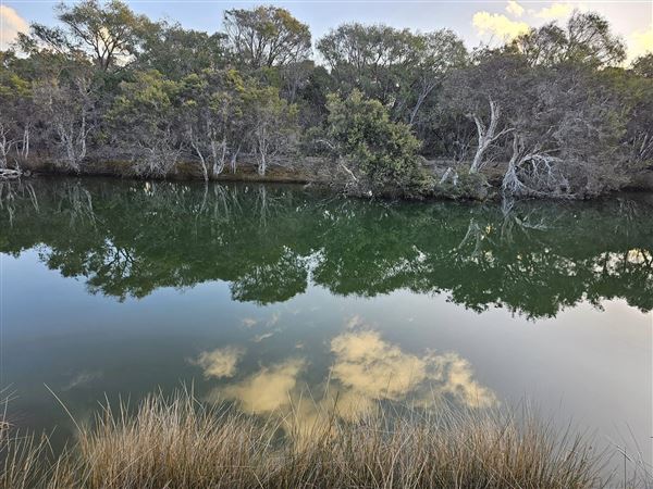 Hardy Inlet, Augusta (23/07/2024)