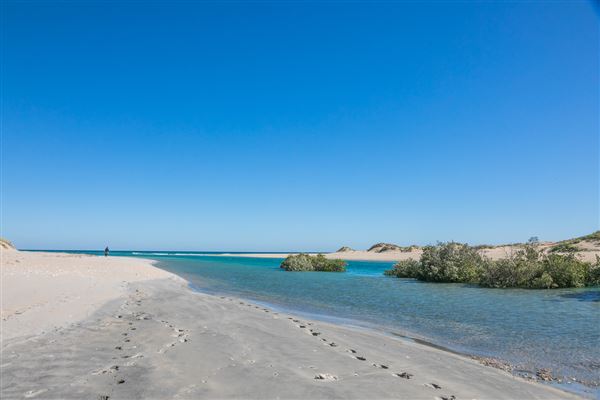 Port Smith (23/07/2024)