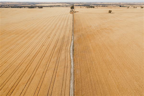 Wheatbelt Region (26/07/2024 - Credits: Tourism Western Australia)
