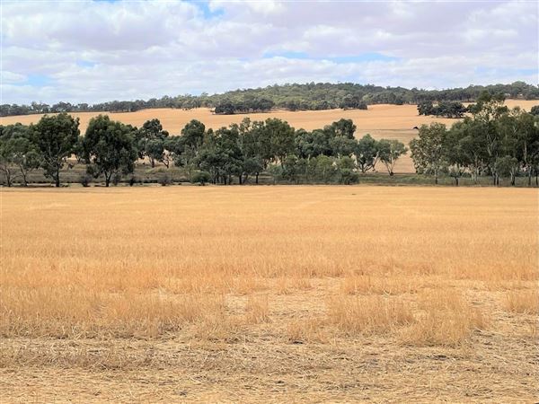Northam (29/07/2024)