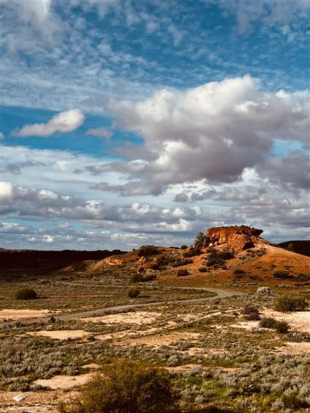 Coolgardie Outskirts (14/08/2024 - Credits: Meg Shields)