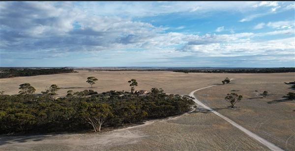 Wheatbelt Region (20/09/2024)