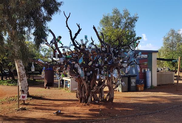 Bullara Station (23/10/2024)