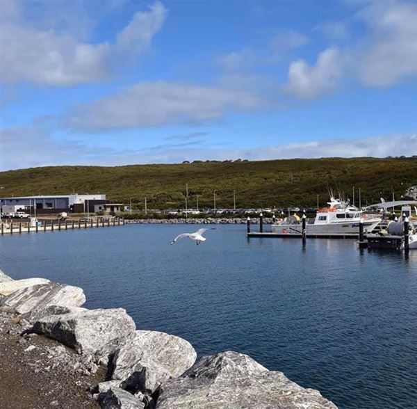 Augusta - Boat Harbour (13/11/2024)