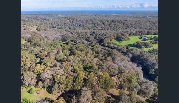 Margaret River (14/01/2025)