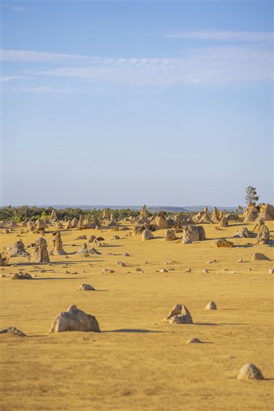 Pinnacles - Nambung National Park (17/01/2025 - Credits: Tourism Australia)