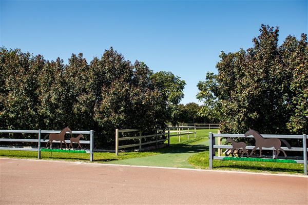 Gold Front Breeding & Racing (28/01/2025)