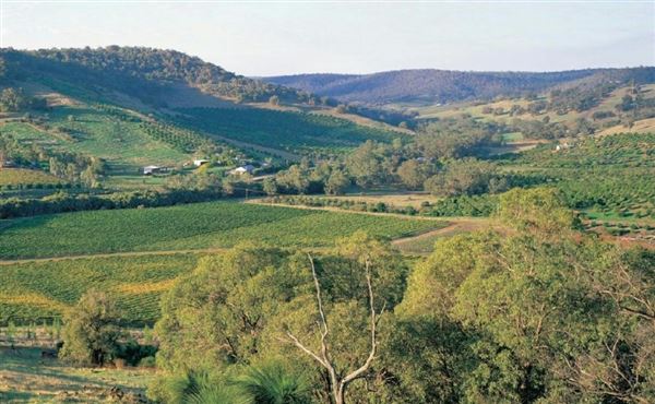 The Chittering Valley (12/02/2025)