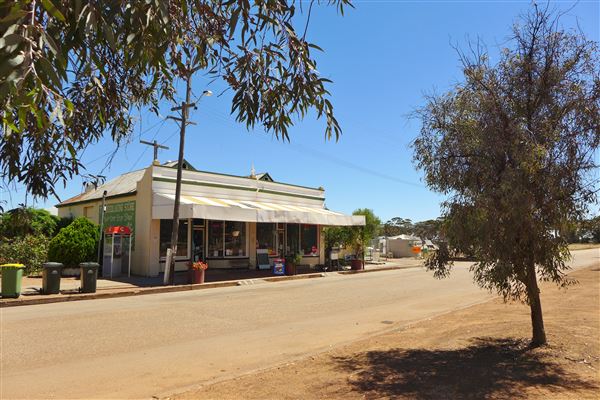 Doodlakine (18/02/2025)