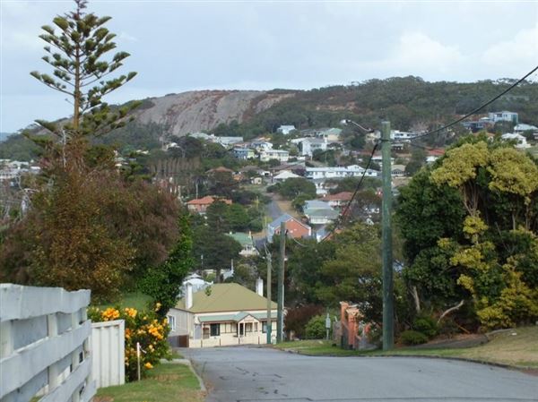 Albany Suburbia (26/02/2025)