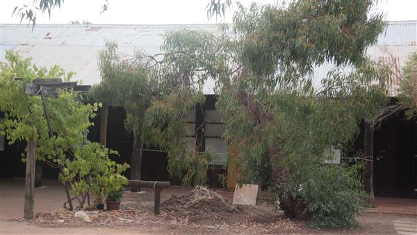 Sandalwood Yards (7/03/2025)