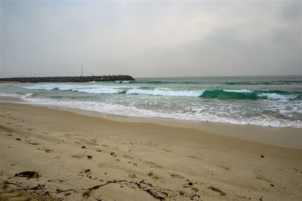 Cottesloe Beach (20/05/2025 - Credits: Xander Kabat)