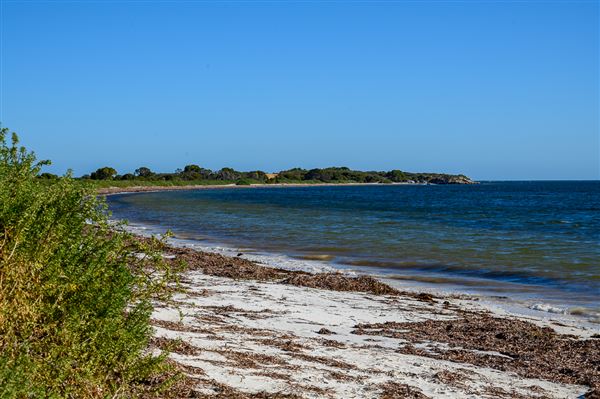 Milligan Island Eco Camping (4/06/2025 - Credits: Xander Kabat)