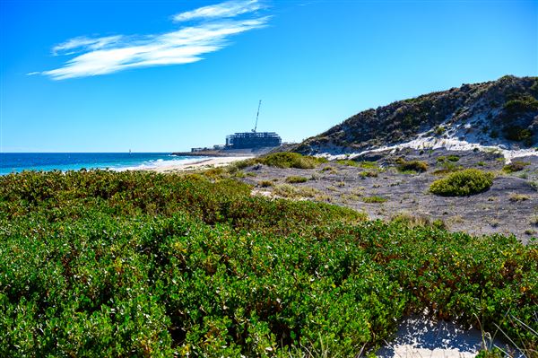 Claytons Beach (4/06/2025 - Credits: Xander Kabat)