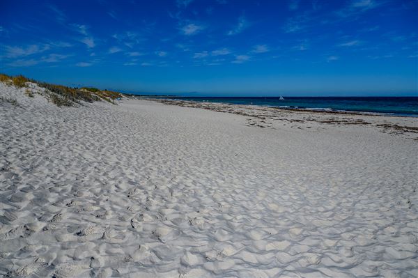 Mullaloo Beach (4/06/2025 - Credits: Xander Kabat)
