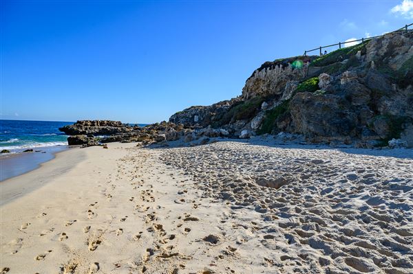 Bennion Beach (4/06/2025 - Credits: Xander Kabat)