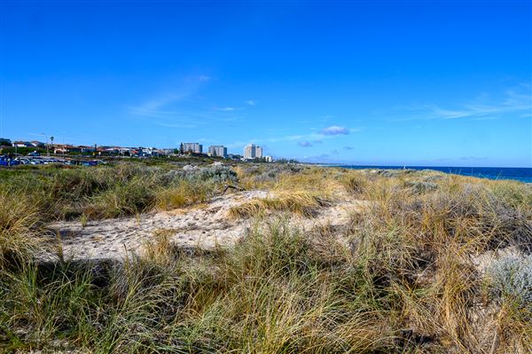 Trigg Beach (4/06/2025 - Credits: Xander Kabat)