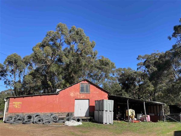 Shearing Shed @ Duke's Vineyard (28/06/2025 - Credits: Sarah Date)