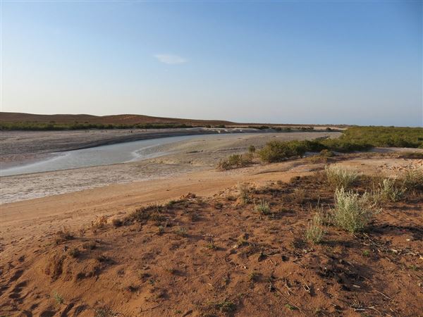 Pardoo Wagyu Station (11/06/2025)