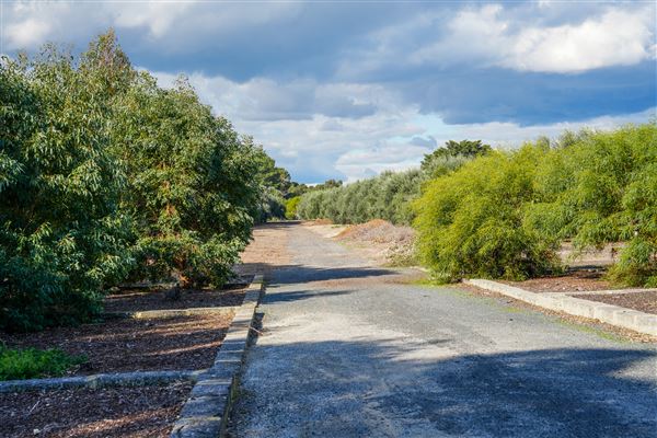 Booyeembarra Park (2/10/2025 - Credits: City of Fremantle)