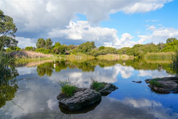 Booyeembarra Park (2/10/2025 - Credits: City of Fremantle)