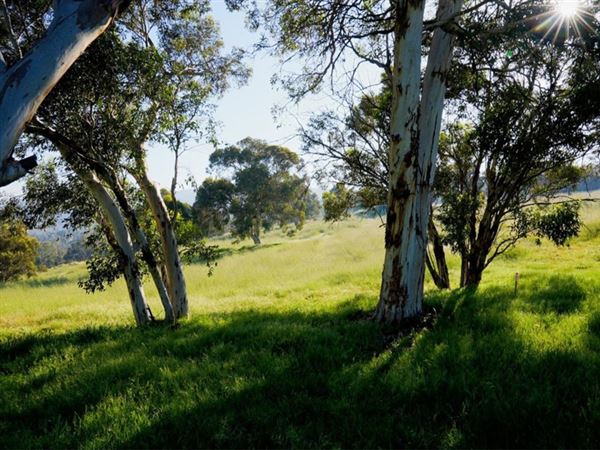 Brigadoon - Campresic Road (10/03/2026)
