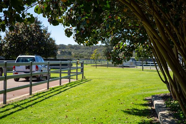 Gold Front Breeding & Racing (11/03/2026 - Credits: Louise Brady)