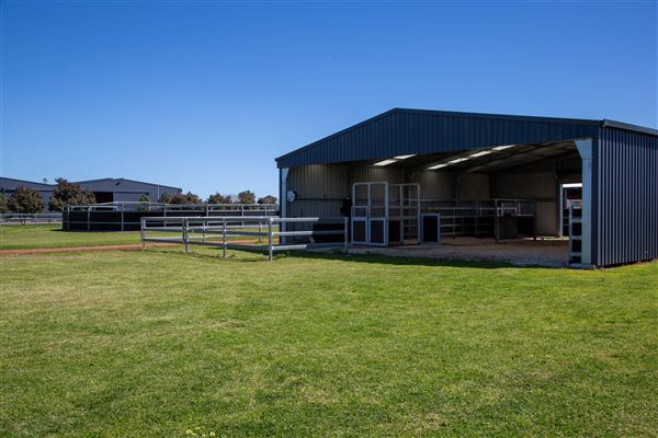 Gold Front Breeding & Racing (11/03/2026 - Credits: Louise Brady)