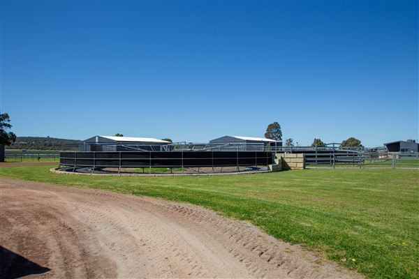 Gold Front Breeding & Racing (11/03/2026 - Credits: Louise Brady)