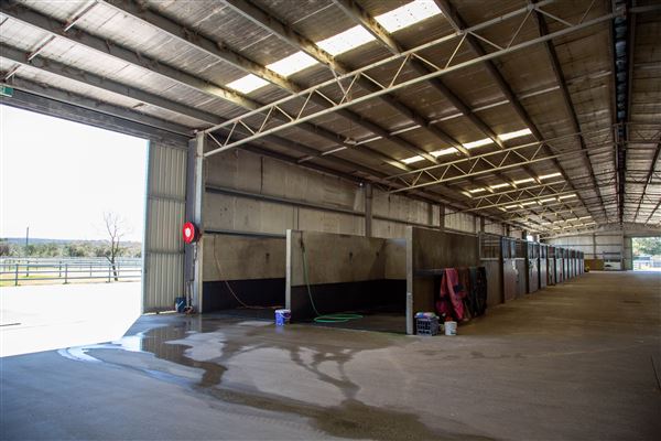 Gold Front Breeding & Racing (11/03/2026 - Credits: Louise Brady)