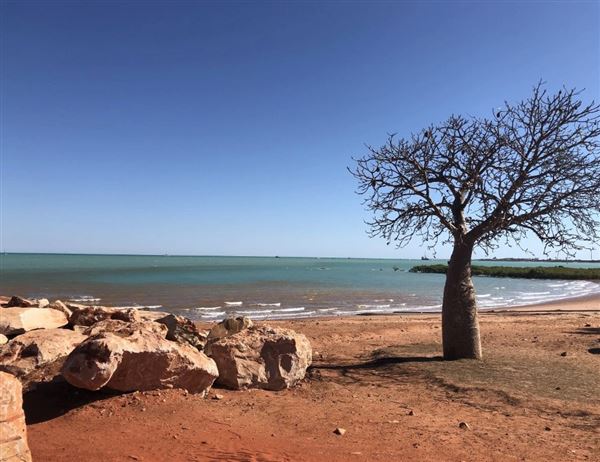 Broome - Town (19/05/2026)