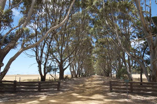 Mount  Richards Rd -Kalgan (12/03/2015)
