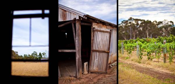 Caversham Vineyards (19/03/2015)