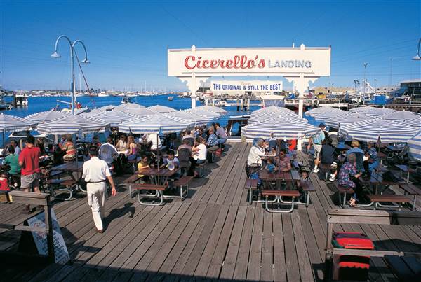 Fremantle - Ciscerellos (20/03/2015)