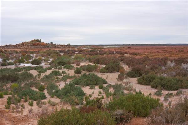 Hannan Lake (23/03/2015 - Credits: Tim Burns)