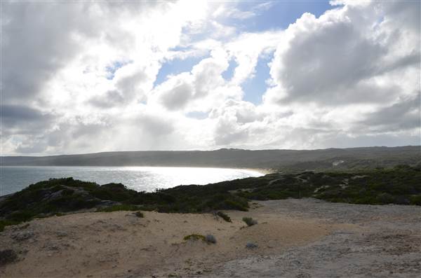 Hamelin Bay (23/03/2015)