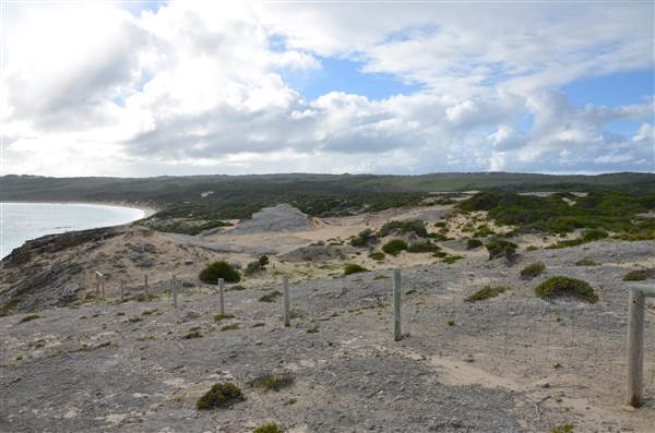 Hamelin Bay (23/03/2015)