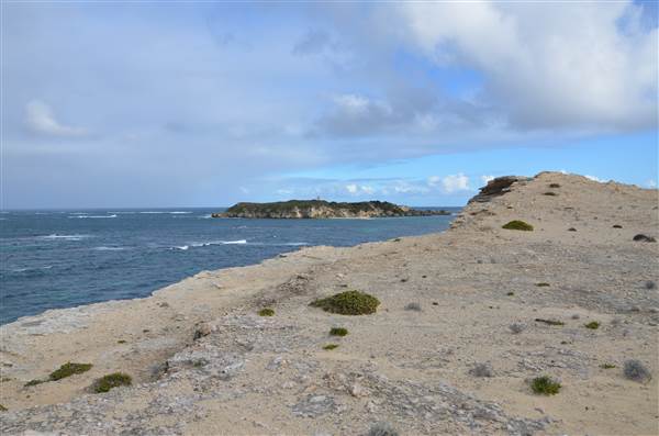 Hamelin Bay (23/03/2015)