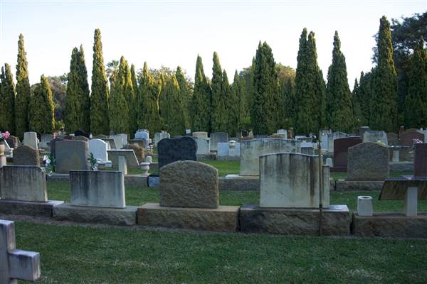 Karrakatta Cemetery (24/03/2015)