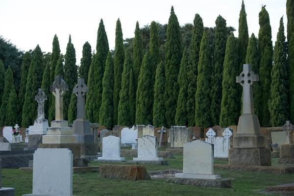 Karrakatta Cemetery (24/03/2015)