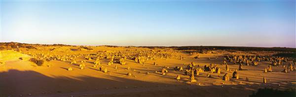 Pinnacles - Nambung National Park (25/03/2015)