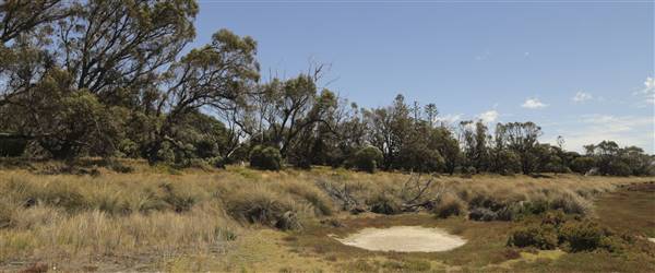 Rottnest Island (24/09/2015)