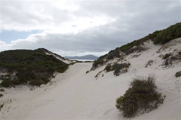 Nanarup Beach & Road (20/10/2015)